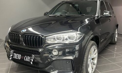BMW X5 xDRIVE30d 5p. de ocasión en TrendCars