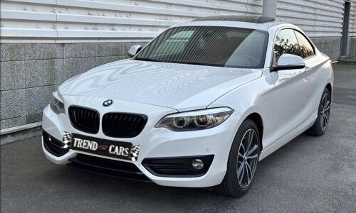 BMW 230i Coupe 252CV de ocasión en TrendCars