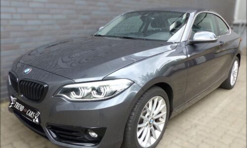 BMW Serie 2 230iA Sport Coupe 252cv. de ocasión en TrendCars