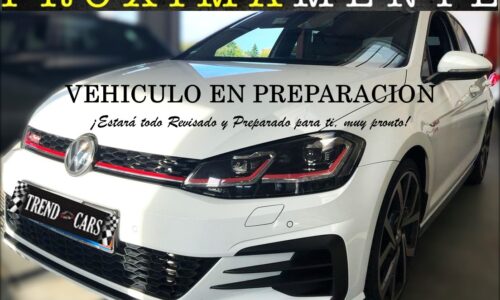 Volkswagen Golf GTI VII PERFORMANCE 2.0 BMT TSI 5p de ocasión en TrendCars