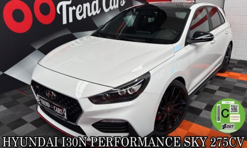 Hyundai i30 N Perf Manual 275CV 2019 5P SKY de ocasión en TrendCars