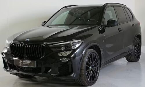 BMW X5 xDrive30dA M Sportpaket 265cv Aut. 2020 5p. de ocasión en TrendCars