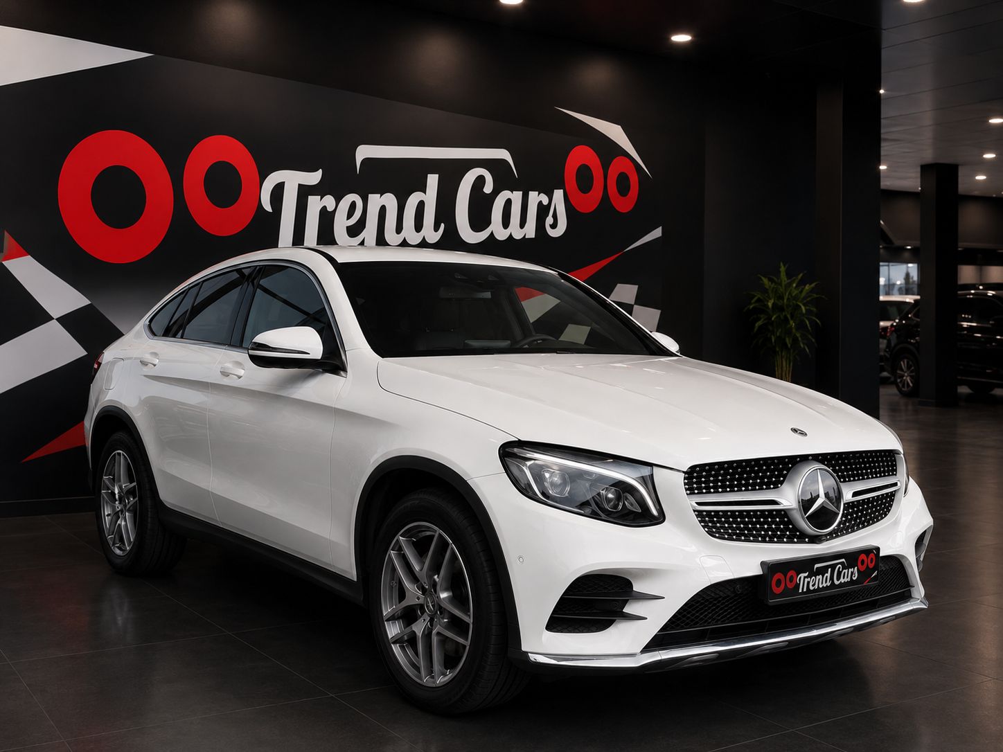 Imagen del coche