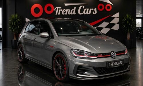 VOLKSWAGEN GOLF GTI PERFORMANCE de ocasión en TrendCars