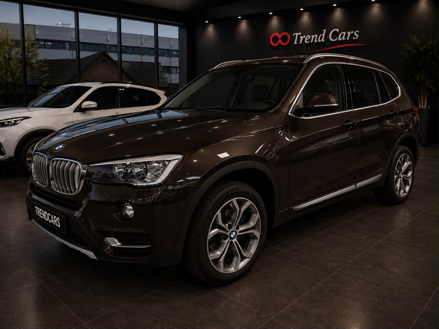Imagen del coche