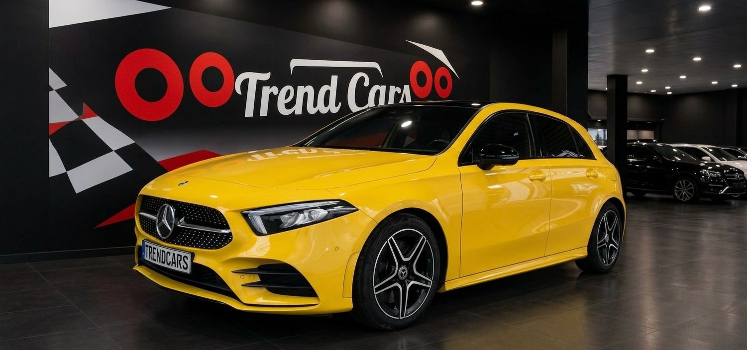Imagen del coche