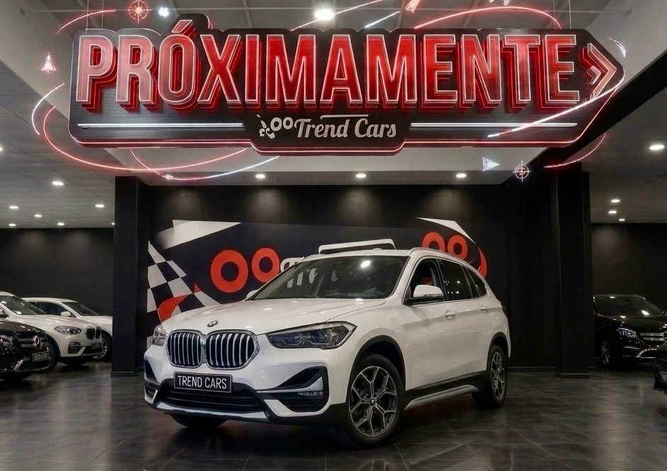 Imagen del coche