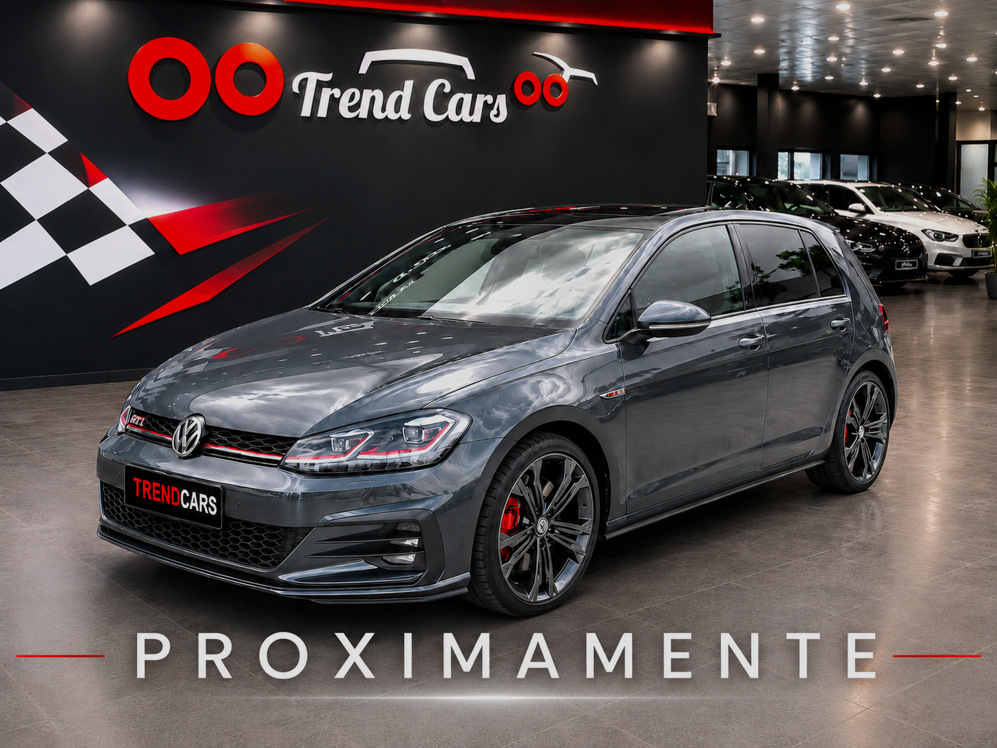 Imagen del coche