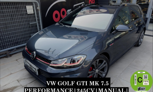 Volkswagen Golf 5p GTI Performance 2.0 TSI 180 kW de ocasión en TrendCars