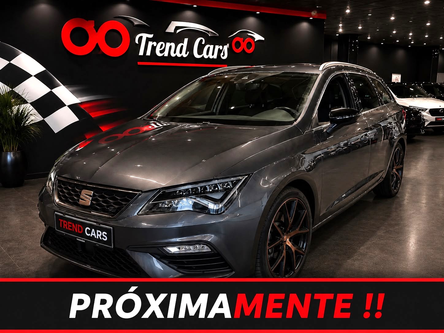 Imagen del coche