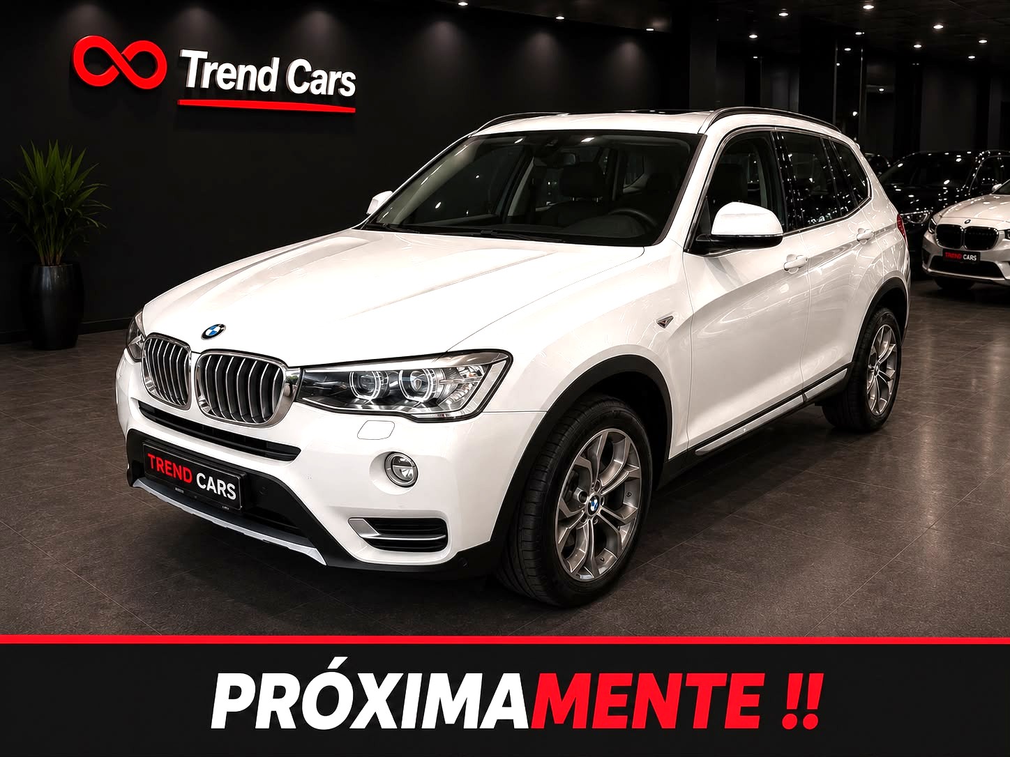 Imagen del coche