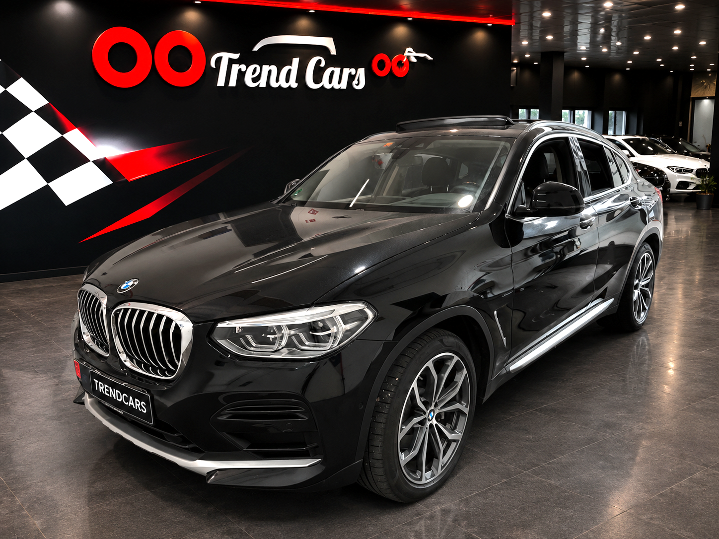 Imagen del coche