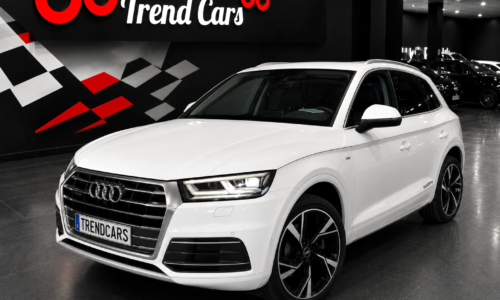 Audi Q5 2.0 TDI QUATTRO DESIGN 163CV de ocasión en TrendCars