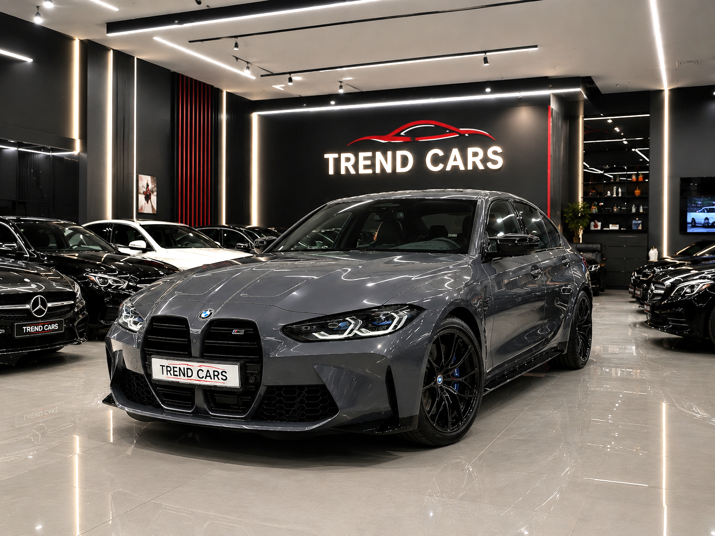 Imagen del coche