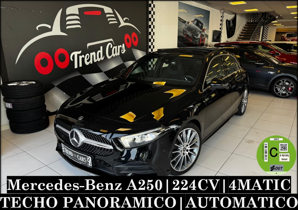 Imagen del coche