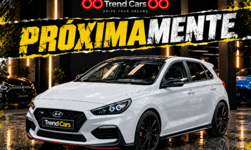 Hyundai i30 5p 2.0 T-GDi 202 kW de ocasión en TrendCars