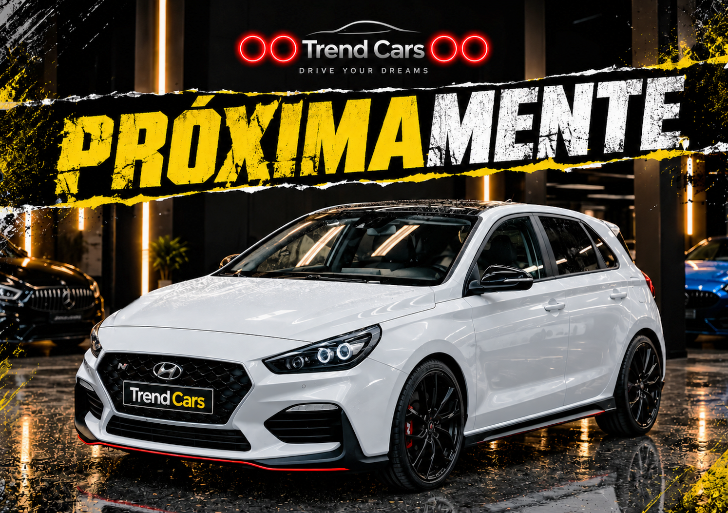 Imagen del coche