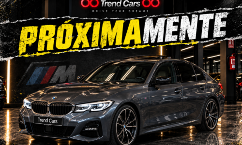 BMW Serie 3 320d Berlina Aut. de ocasión en TrendCars