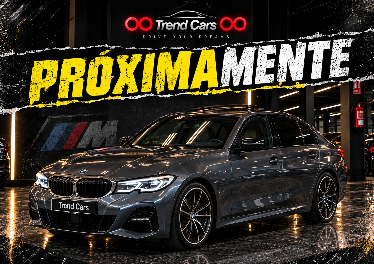 Imagen del coche