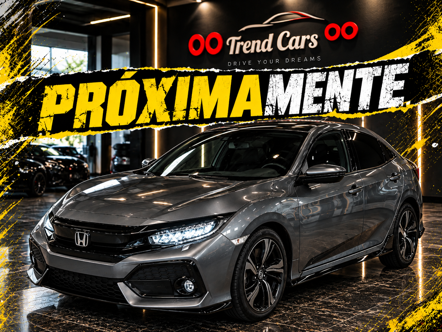 Imagen del coche