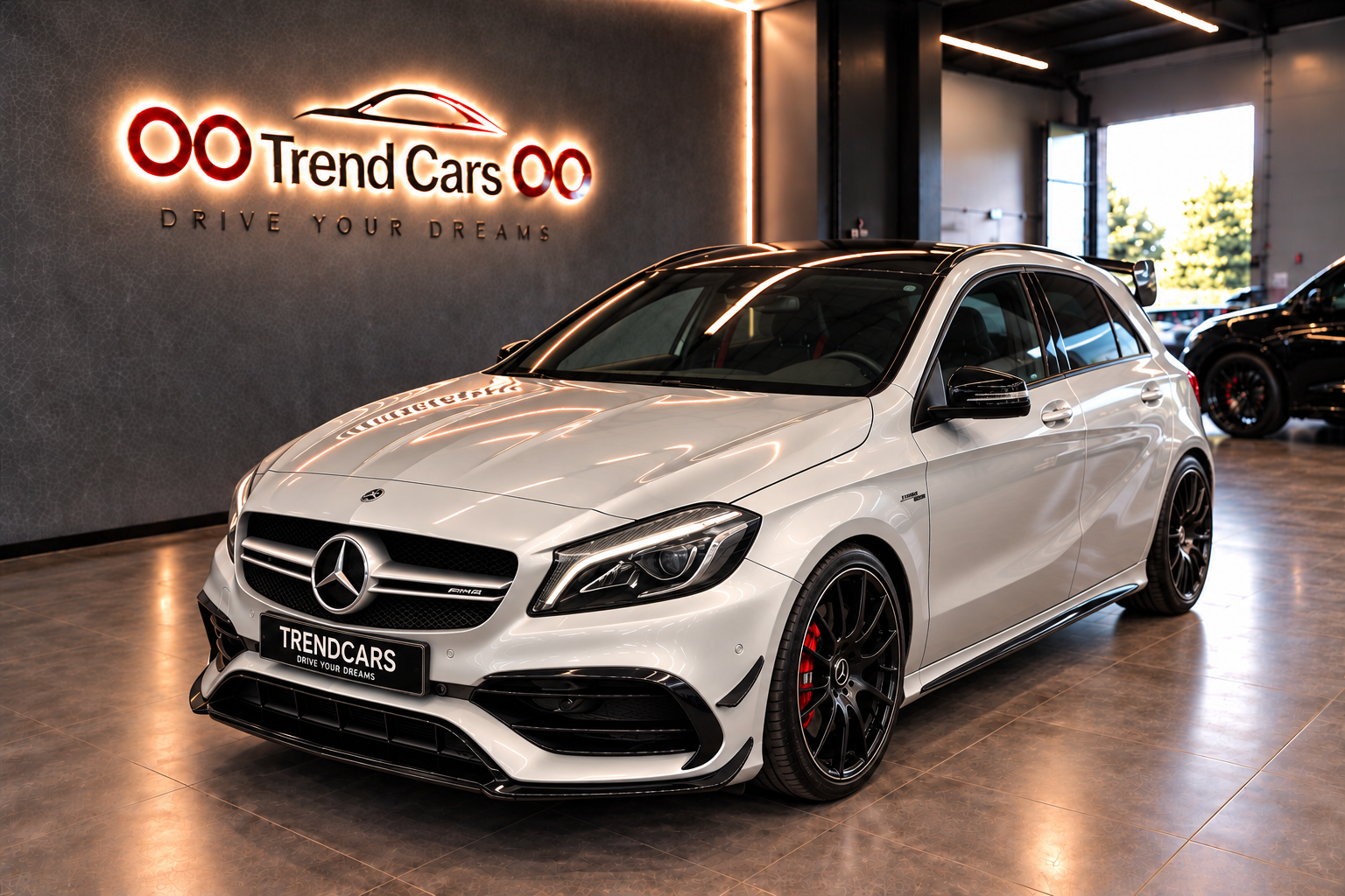 Imagen del coche