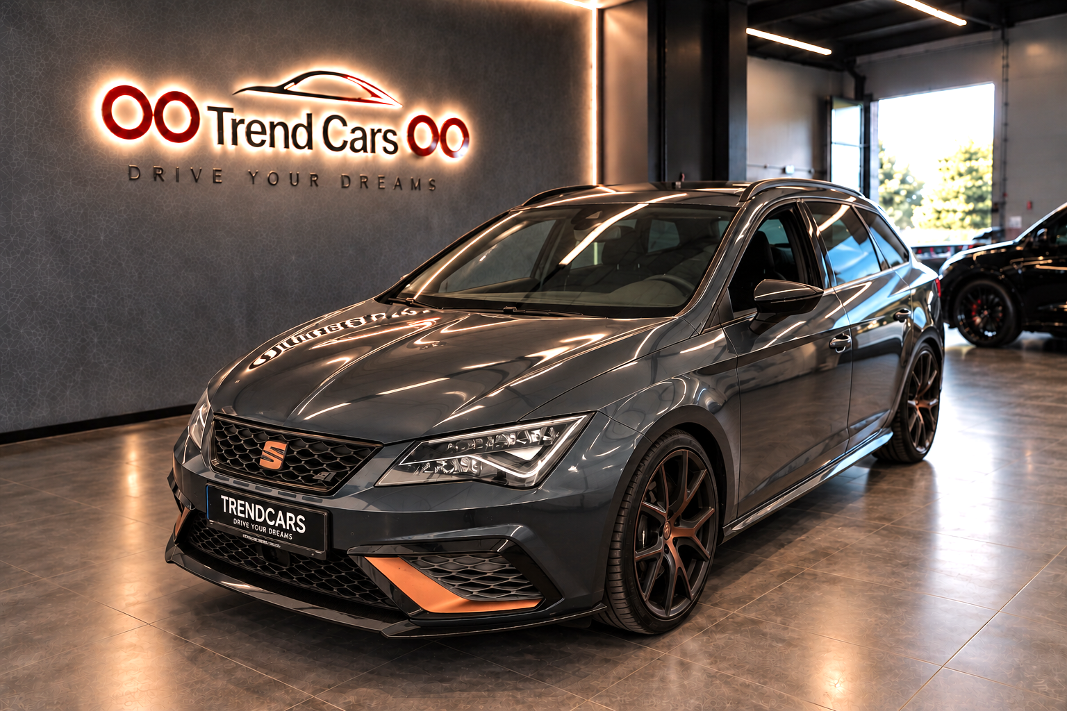Imagen del coche